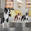 Boston Terrier (Red & White) Jekca (Dog Lego)